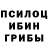 Псилоцибиновые грибы прущие грибы Zehra Allahverdiyeva