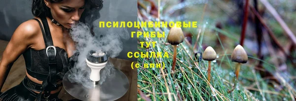 ALPHA PVP Алексин