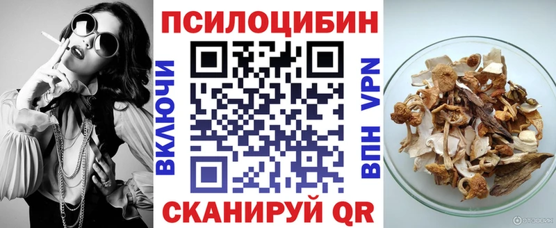 хочу Тобольск mega tor Псилоцибиновые грибы Cubensis